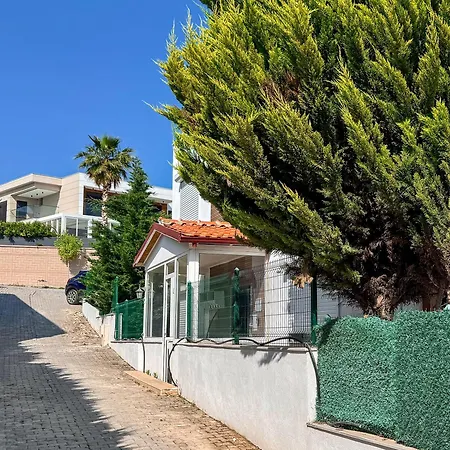 Zeytin * Κουσάντασι